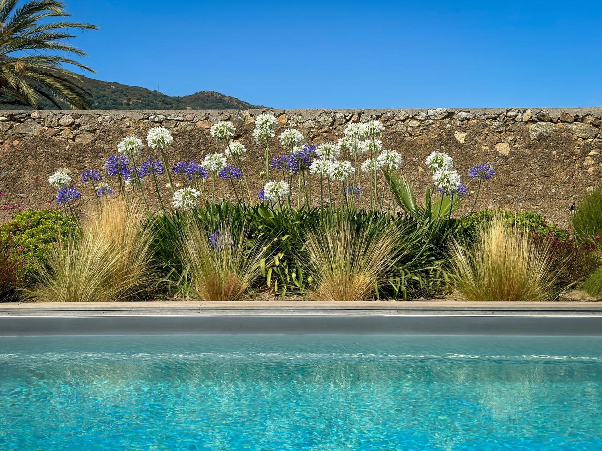 Domaine Villas Celia Monticello Exteriör bild