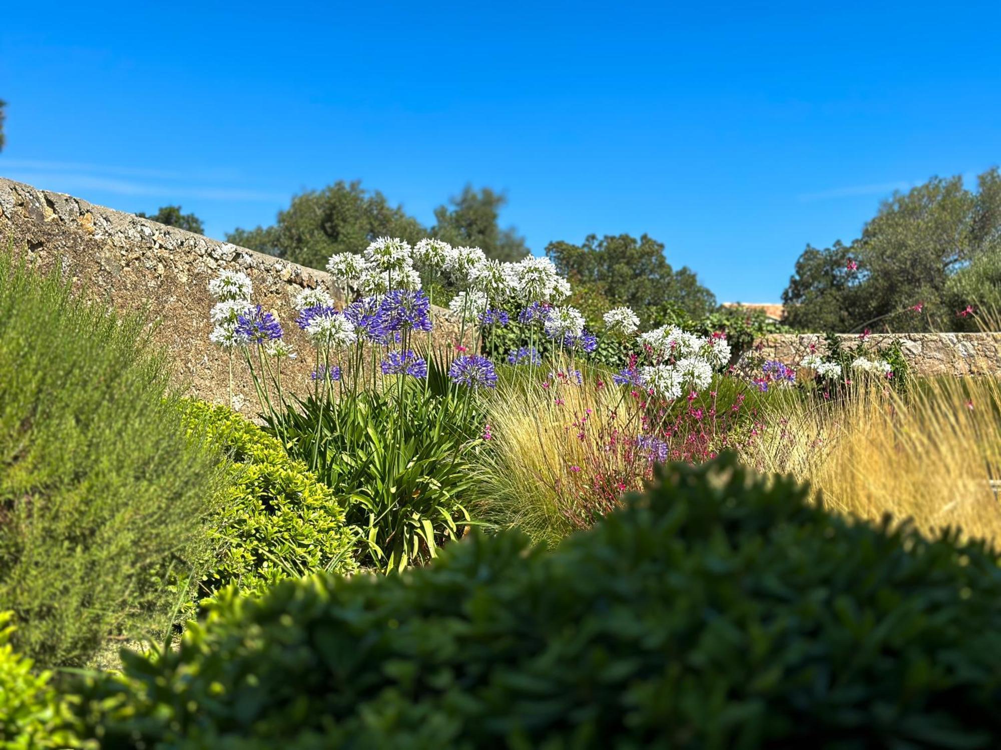 Domaine Villas Celia Monticello Exteriör bild